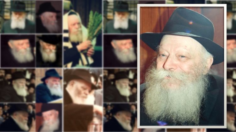 התמונה השבועית • כשהמלך מחייך